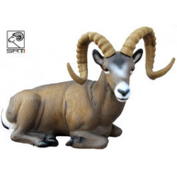 SRT Pecora delle Montagne Rocciose sdraiata