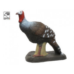 SRT Turchia