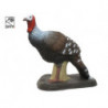 SRT Turchia