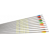 X-Line "MACH 3.1" Carbonpfeil