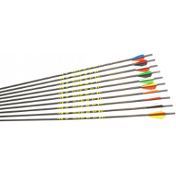 X-Line "ROOKIE" Carbonpfeil